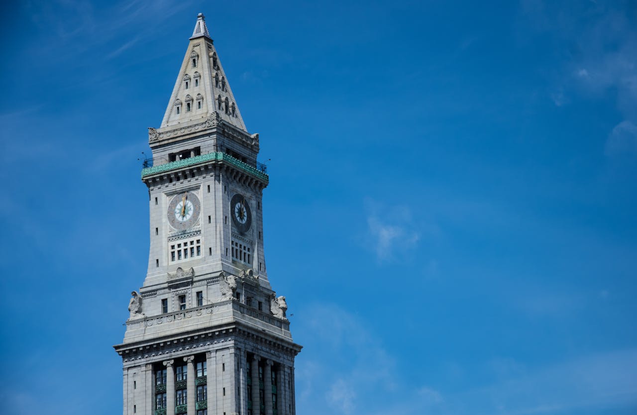 Best Magic Mushroom Store in Boston: 7 Top-Rated Options Ranked for 2026