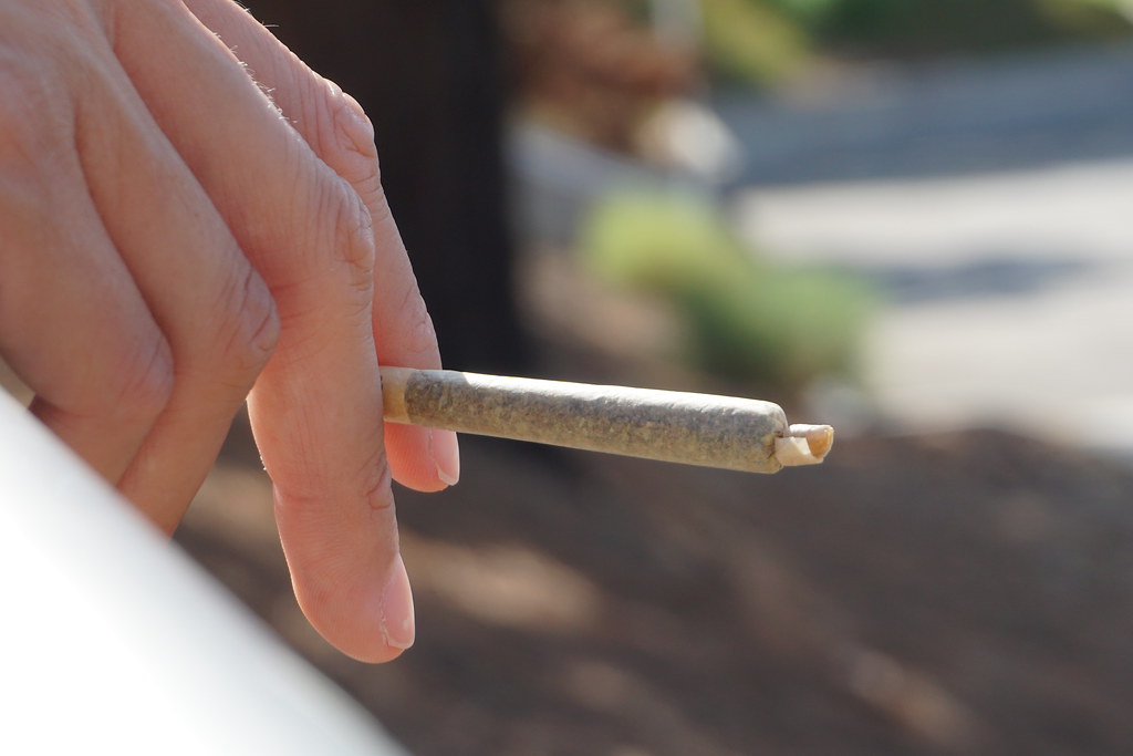 Hand holding a pre-rolled joint